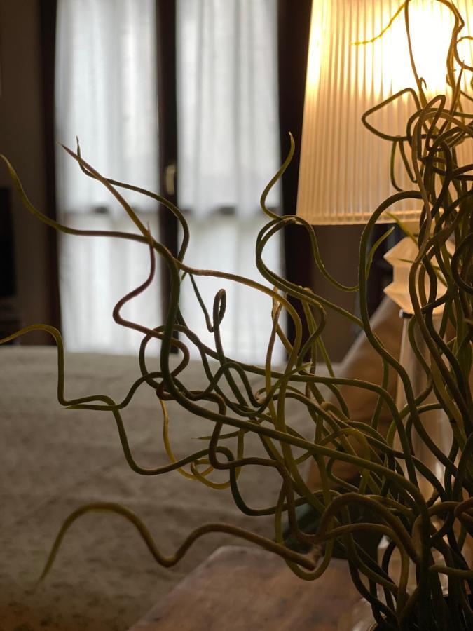 パレルモCasa Vetrieraアパートメント エクステリア 写真